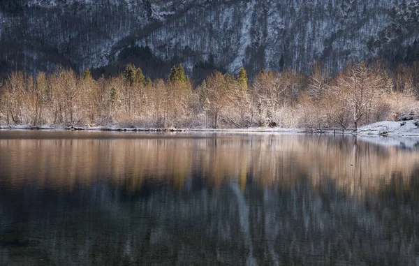 Alplerdeki Bohinj Gölü — Stok fotoğraf