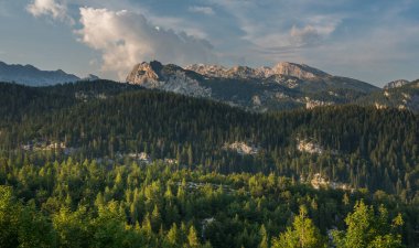 Komna yaylası güneşli bir günde