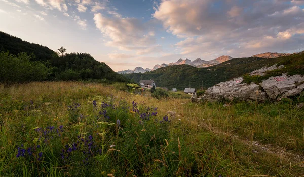 Sommermorgen Auf Dem Komna Plateau Den Julischen Alpen — Stockfoto