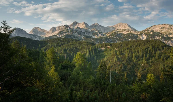 Sommermorgen Auf Dem Komna Plateau Den Julischen Alpen — Stockfoto