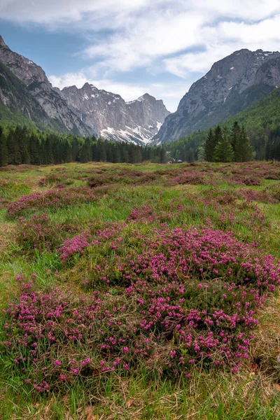 Krma Valley Early Spring — Stock Photo, Image