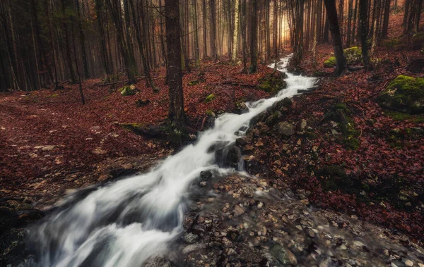 Flusso Cascata Una Torbida Foresta Autunnale — Foto Stock