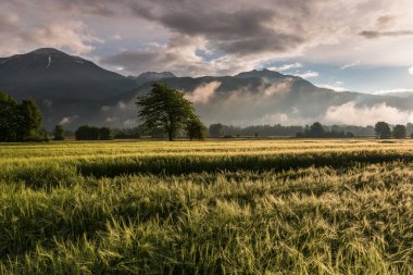 İlkbaharda kırsalda dramatik bir gün doğumu