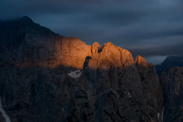 Flores Árboles Son Altos Las Montañas Los Alpes Julianos Eslovenia —  Fotos de Stock