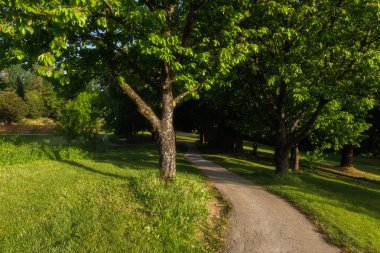 Mokrice Şatosu, dramatik bulutlar ve ormanlarla dolu bir bahar akşamında. Ormanda bir kale. 