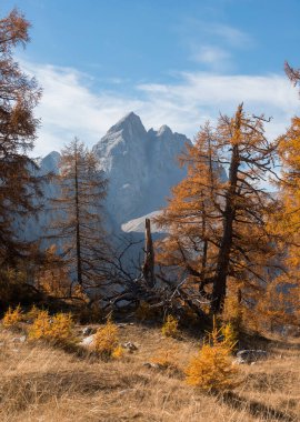 Julian Alpleri 'ndeki Slemenova Spica' da sonbahar