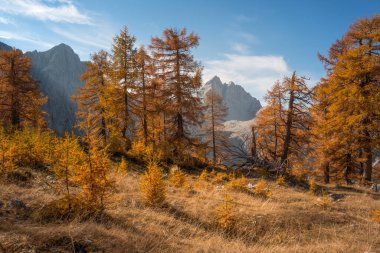Julian Alpleri 'ndeki Slemenova Spica' da sonbahar
