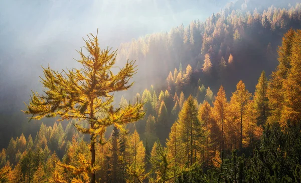 Herbst Slemenova Spica Den Julischen Alpen — Stockfoto