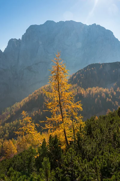 Herbst Slemenova Spica Den Julischen Alpen — Stockfoto