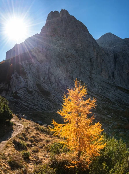 ユリウスアルプスのスレメノバ スピカの秋 — ストック写真