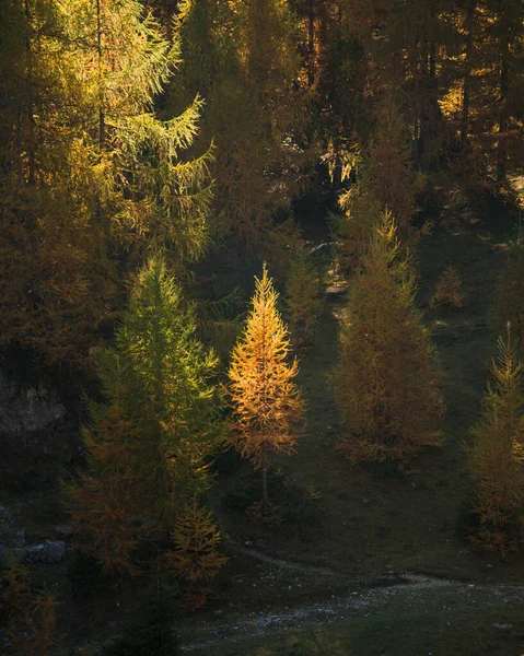 Julian Alpleri 'ndeki Slemenova Spica' da sonbahar