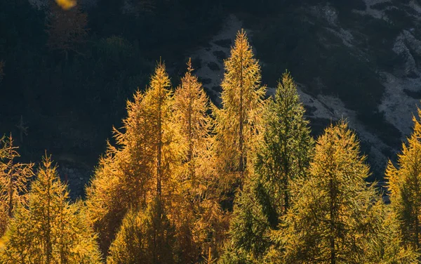 Herbst Slemenova Spica Den Julischen Alpen Stockbild