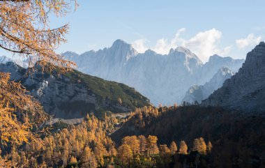 Julian Alpleri 'ndeki Slemenova Spica' da sonbahar