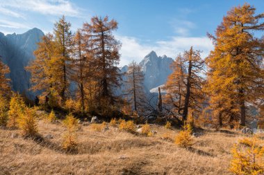 Julian Alpleri 'ndeki Slemenova Spica' da sonbahar