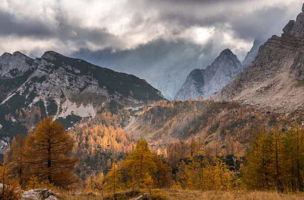 Automne Slemenova Spica Dans Les Alpes Juliennes — Photo