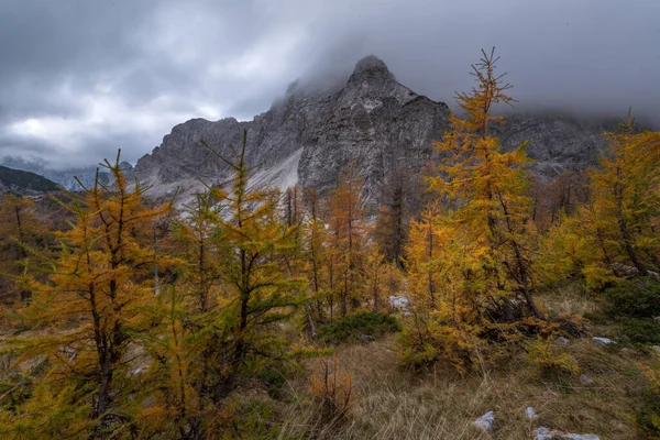 Jesień Slemenova Spica Alpach Julijskich Zdjęcie Stockowe