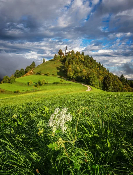 Kirche Auf Dem Hügel Der Slowenischen Landschaft — Stockfoto