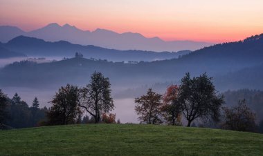 Sabahın erken saatlerinde kırsalda sisli bir manzara.
