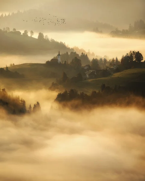 Nebelschwaden Frühen Morgen — Stockfoto