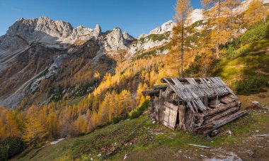 Slovenya 'daki Julian Alpleri' nin dağlarındaki güzel sonbahar manzarası.