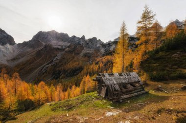 Slovenya 'daki Julian Alpleri' nin dağlarındaki güzel sonbahar manzarası.