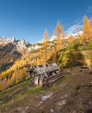 Slovenya 'daki Julian Alpleri' nin dağlarındaki güzel sonbahar manzarası.