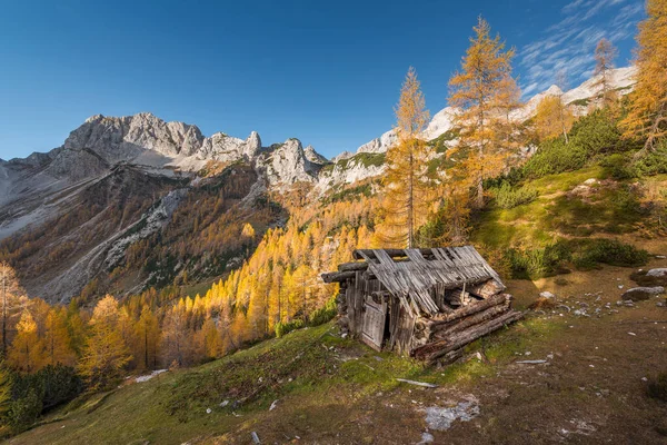 Slovenya 'daki Julian Alpleri' nin dağlarındaki güzel sonbahar manzarası.