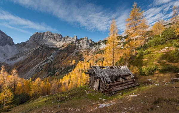 Slovenya 'daki Julian Alpleri' nin dağlarındaki güzel sonbahar manzarası.