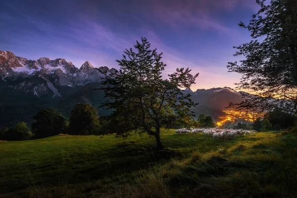 Grote Herfst Uitzicht Alpen Vanaf Vosca Heuvel Karavanke Bergketen Rechtenvrije Stockafbeeldingen