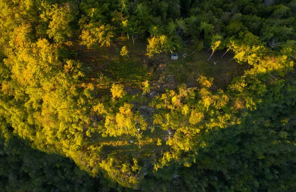 Flygfoto Över Skog Och Dal Vid Soluppgången — Stockfoto