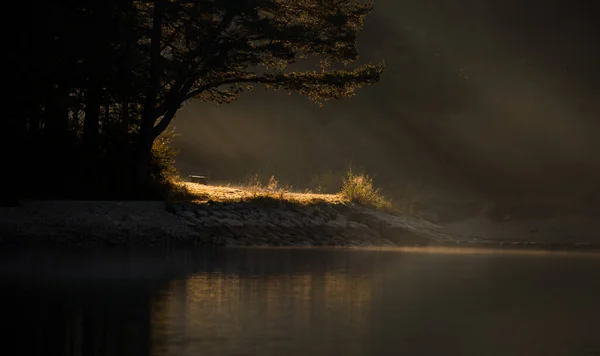 Slovenya Daki Zavrsnica Gölü Nde Sabah Sisi — Stok fotoğraf