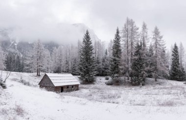 Kış karlı ve bulutlu bir günde sonbaharda buluşur.