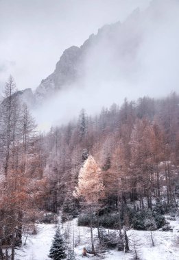 Kış karlı ve bulutlu bir günde sonbaharda buluşur.