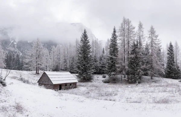 Kış karlı ve bulutlu bir günde sonbaharda buluşur.