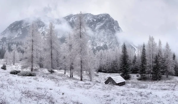 Winter Ontmoet Herfst Een Besneeuwde Bewolkte Dag Stockfoto