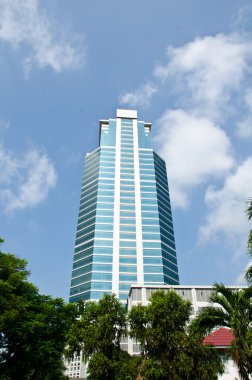 Modern gökdelenler.