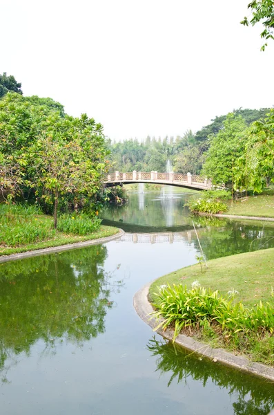Pont sur l'étang — Photo