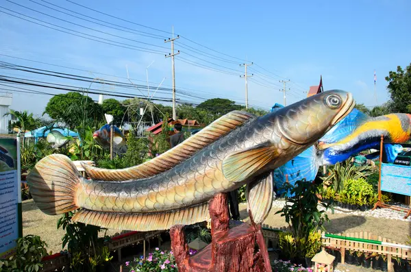 Festival de peixe — Fotografia de Stock