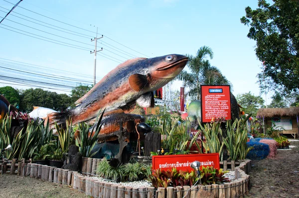 Festa del pesce — Foto Stock