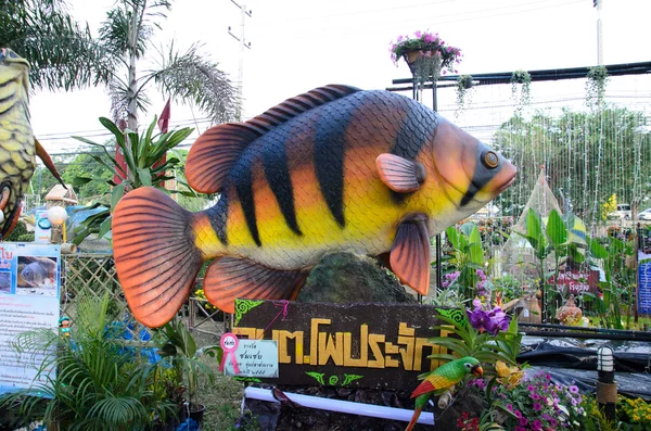 Fish Festival — Stock Photo, Image