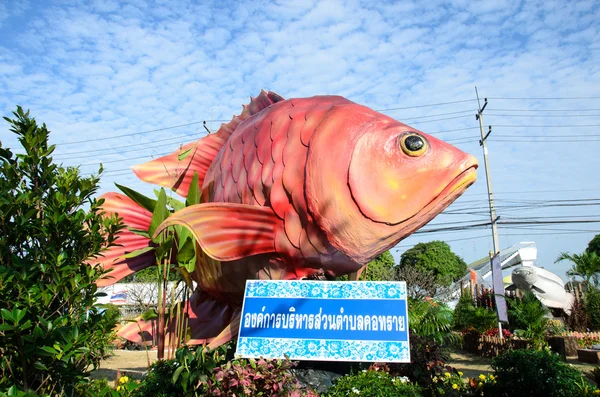 Festival de peixe — Fotografia de Stock