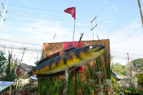 Balık Festivali — Stok fotoğraf
