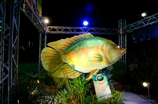 Festiwal ryb — Zdjęcie stockowe