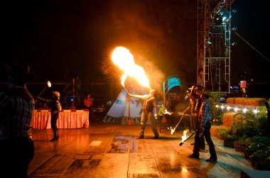 Bayan köpek Yarışması