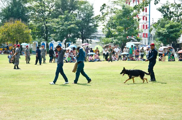 Mostrar Perros de la Guerra . — Foto de Stock