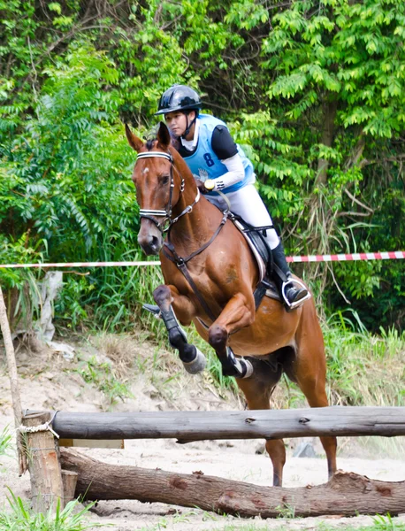 Equestrian sport. — Stock Photo, Image