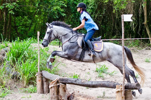 Equestrian sport. — Stock Photo, Image