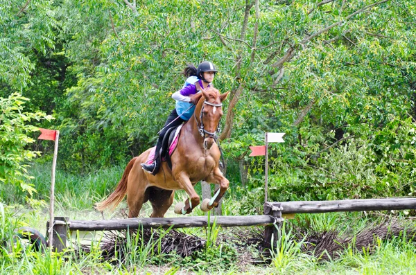 Deporte ecuestre . — Foto de Stock