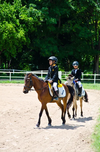 Paardensport. — Stockfoto