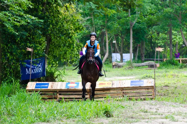 Desporto equestre . — Fotografia de Stock